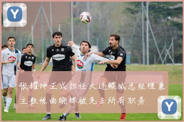 张耀坤正式担任大连鲲城总经理兼主教练曲晓辉被免去所有职务