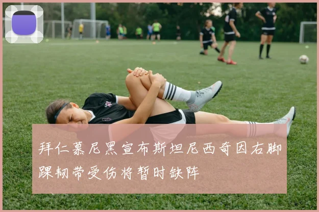 拜仁慕尼黑宣布斯坦尼西奇因右脚踝韧带受伤将暂时缺阵