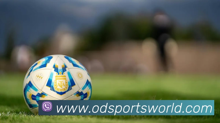 OD体育平台生态图