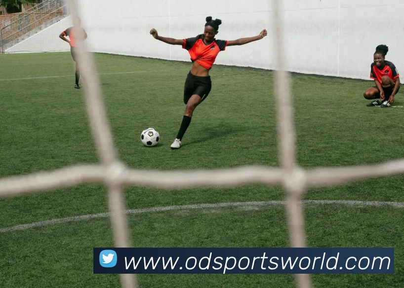 OD体育APP 封面图